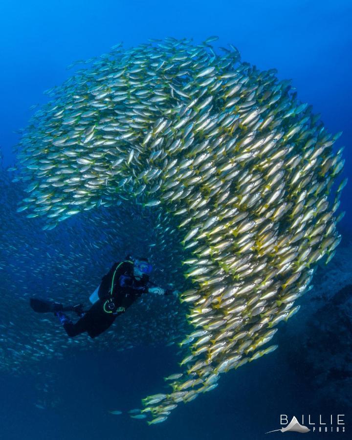 Hydronauts Diving Resort - Tau-sziget Kültér fotó