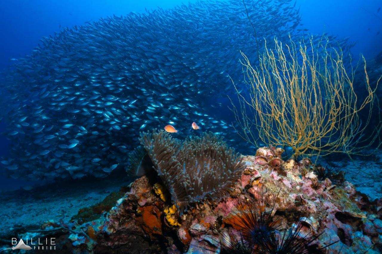Hydronauts Diving Resort - Tau-sziget Kültér fotó