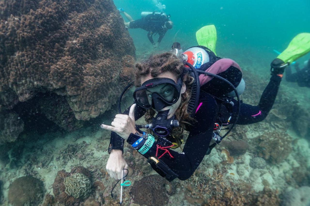 Hydronauts Diving Resort - Tau-sziget Kültér fotó